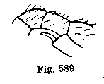 {short description of image}