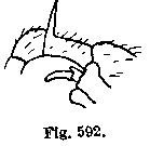 {short description of image}