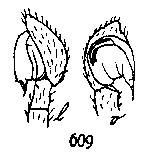 {short description of image}