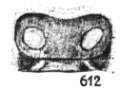 {short description of image}