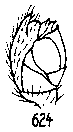 {short description of image}