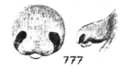 {short description of image}