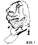 {short description of image}
