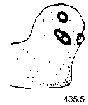 {short description of image}