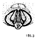 {short description of image}