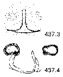 {short description of image}