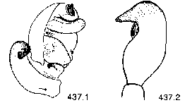 {short description of image}