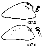 {short description of image}
