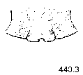 {short description of image}