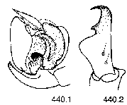 {short description of image}