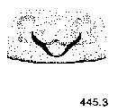 {short description of image}