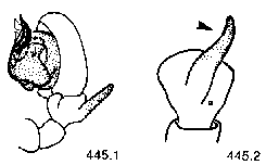 {short description of image}