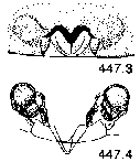 {short description of image}