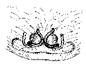 {short description of image}