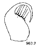 {short description of image}