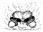 {short description of image}