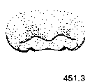 {short description of image}