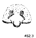 {short description of image}