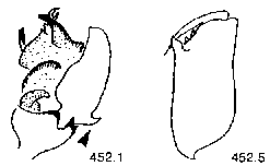 {short description of image}
