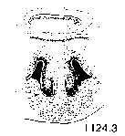 {short description of image}