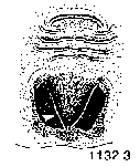 {short description of image}