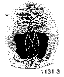 {short description of image}
