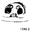 {short description of image}