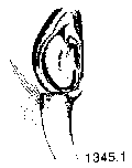 {short description of image}