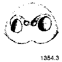 {short description of image}