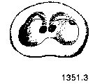 {short description of image}