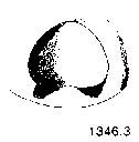 {short description of image}