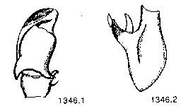 {short description of image}