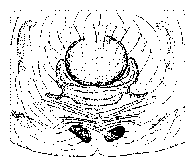 {short description of image}