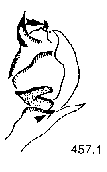 {short description of image}