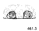 {short description of image}