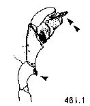 {short description of image}