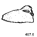 {short description of image}