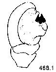 {short description of image}