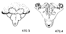 {short description of image}