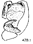 {short description of image}