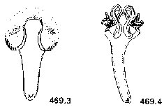 {short description of image}