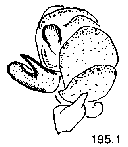 {short description of image}