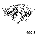 {short description of image}