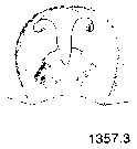 {short description of image}
