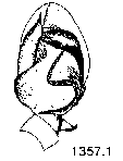 {short description of image}
