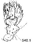 {short description of image}