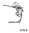 {short description of image}