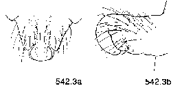 {short description of image}