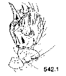 {short description of image}