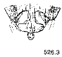 {short description of image}